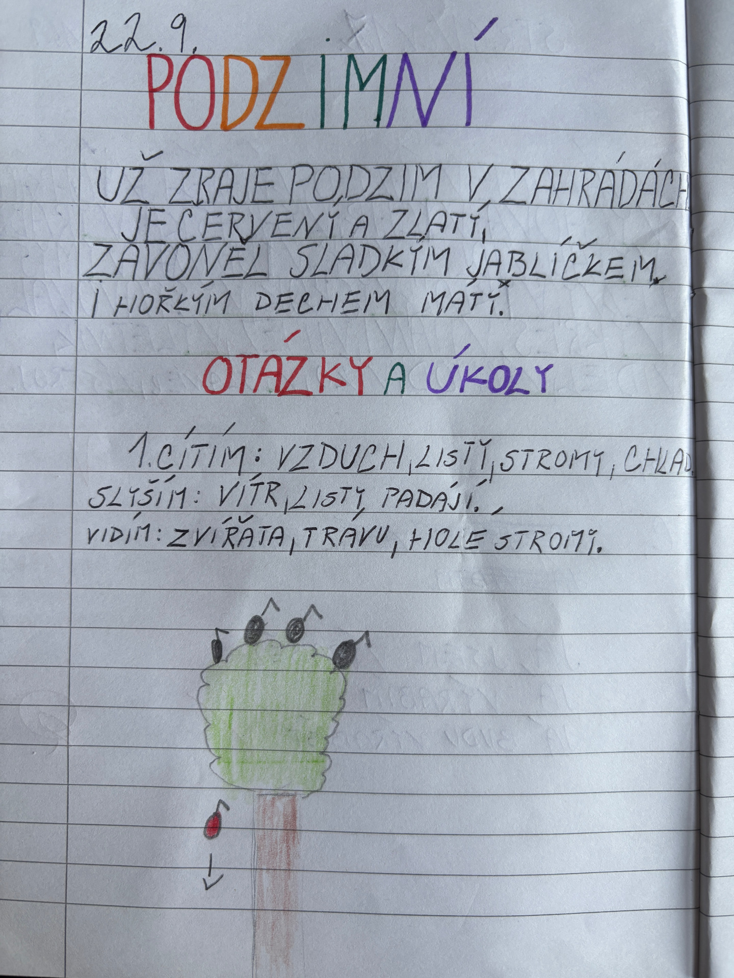Jarda píše...